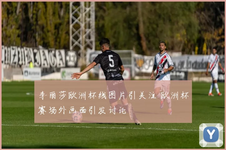 李丽莎欧洲杯线图片引关注 欧洲杯赛场外画面引发讨论
