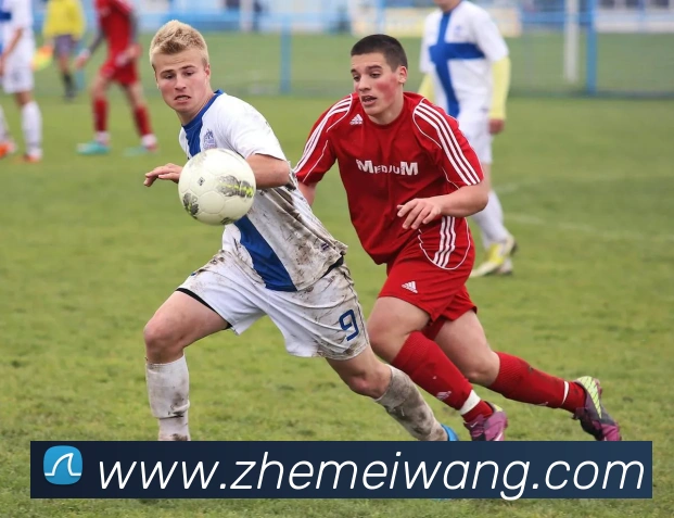 世界杯开户平台平台生态图